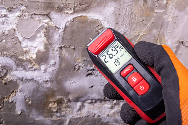 Best Water Damage Restoration  in Bonanza, GA