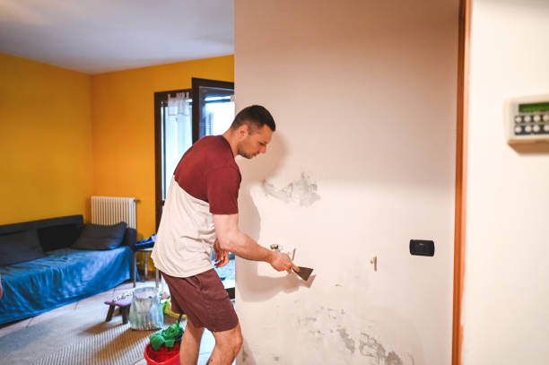 Best Attic Mold Removal  in Bonanza, GA