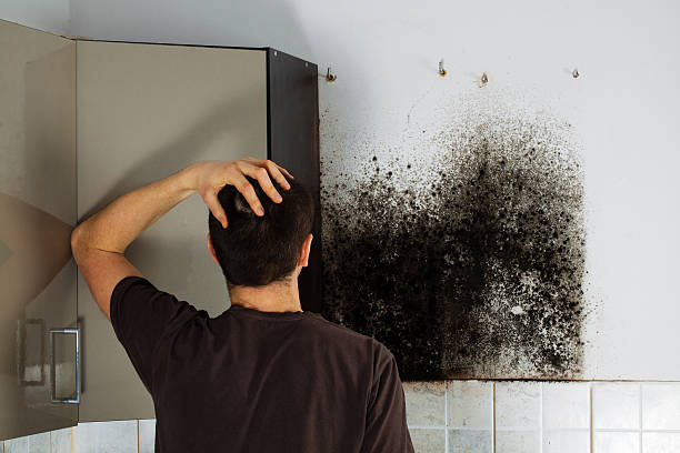 Best Mold Remediation  in Bonanza, GA